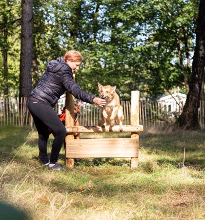 RBB Honden Uitlaatplek 7