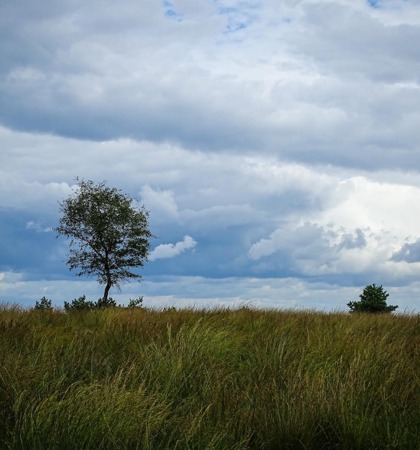 Posbank Ellen Wijnen Fotografie 6 7F065bfa 381C 4A36 9Fa1 92F3c8365453