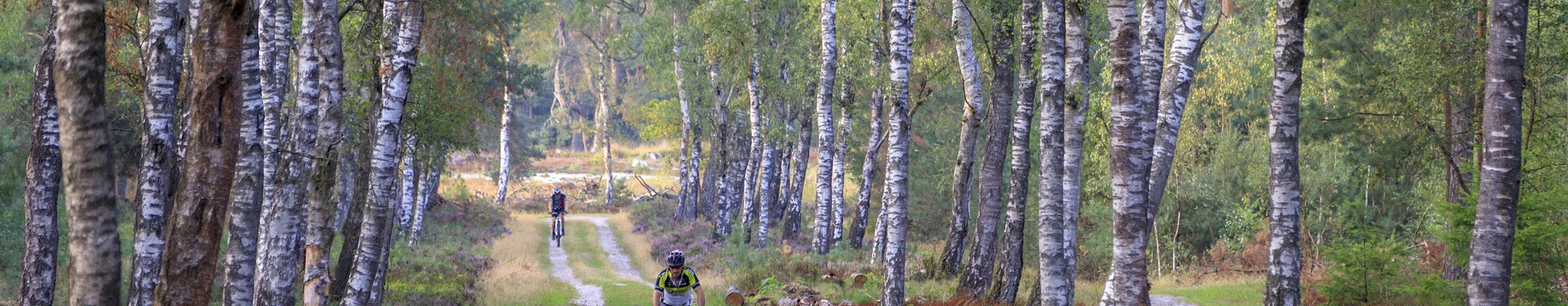 Das sind die schönsten MTB-Routen in den Niederlanden