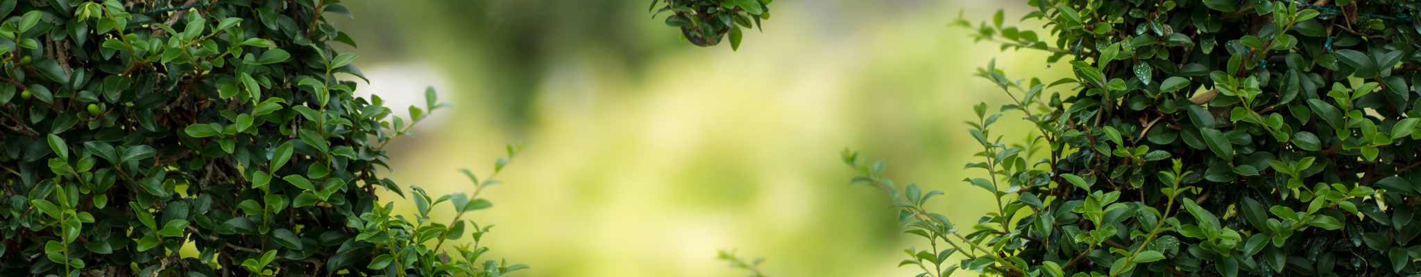 Golden Green Key Qualitätszeichen für Bospark Ede