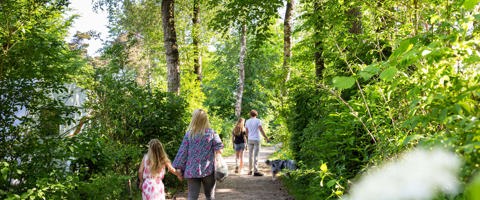 Resort Veluwe Vakantiegasten Wandelen 1