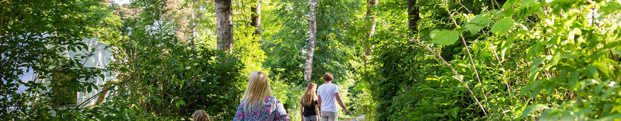 Resort Veluwe Feriengäste wandern im Wald