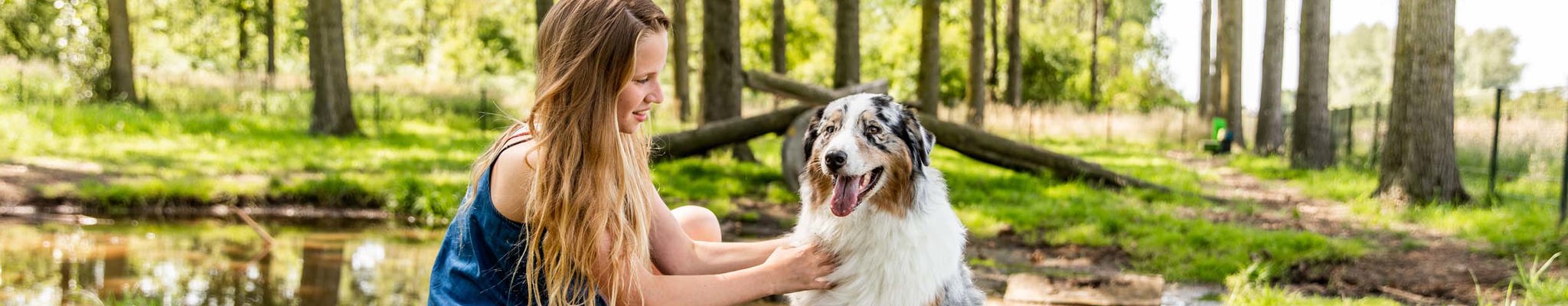 Hundespielplatz