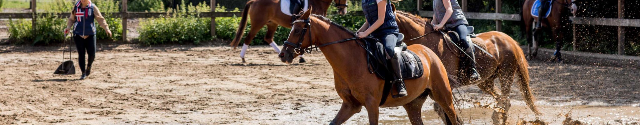   6x fantastische Reitrouten auf der Veluwe