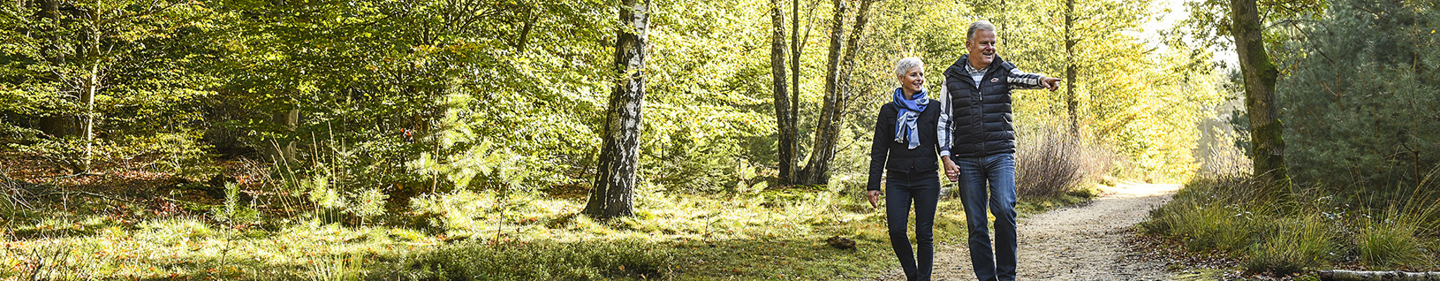 Unsere Tipps für einen Spaziergang in Lage Vuursche