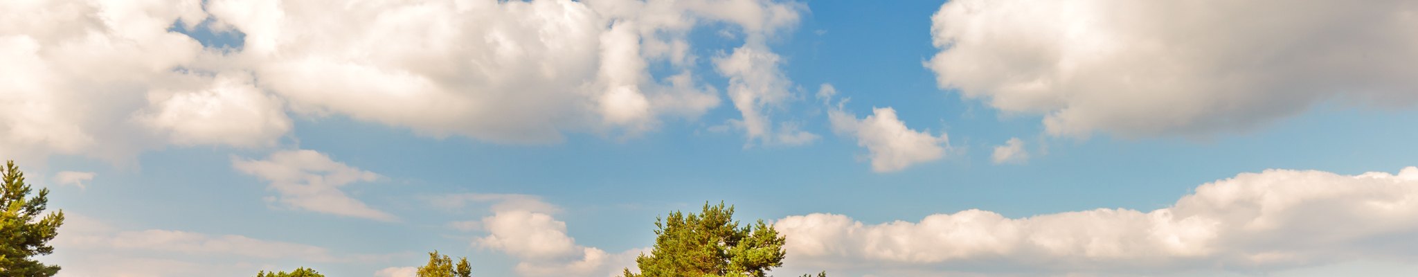 Dies sind die 10 schönsten Wanderrouten in der Region Veluwe